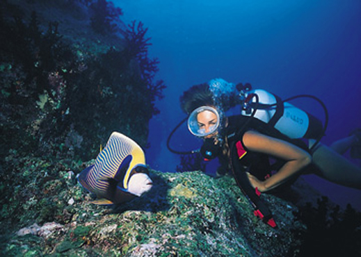 Diving in Mauritius